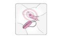 Jajko/wibr-Wibrator - Play Ball Adrien Lastic Jajko/wibr-Wibrator - Play Ball Adrien Lastic