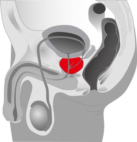 Prostata Twister You2Toys Prostata Twister You2Toys