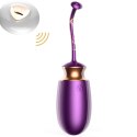Jajko/wibr-Vibrating Silicone Love EGG USB 10 Function / Heating / Voice Control B - Series Fox Jajko/wibr-Vibrating Silicone Love EGG USB 10 Function / Heating / Voice Control B - Series Fox