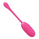 PRETTY LOVE - KIRK EGG Pink 12 function vibrations Pretty Love PRETTY LOVE - KIRK EGG Pink 12 function vibrations Pretty Love