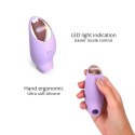 BELIEVER - VIVA MAUVE Love to Love BELIEVER - VIVA MAUVE Love to Love