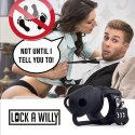 Lock-a-Willy Lock a Willy Lock-a-Willy Lock a Willy