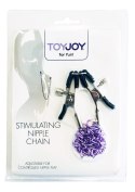 Stimulating Nipple Chain Metal TOYJOY Stimulating Nipple Chain Metal TOYJOY