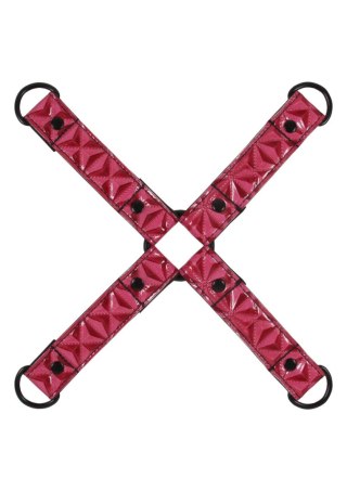 Hogtie Pink NS Novelties