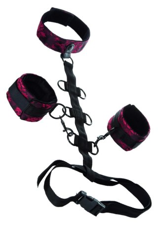 Scandal Collar Body Restraint Black CalExotics