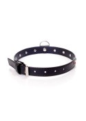 Fetish B - Series Collar - 2 cm. red crystal Fetish B - Series Fetish B - Series Collar - 2 cm. red crystal Fetish B - Series