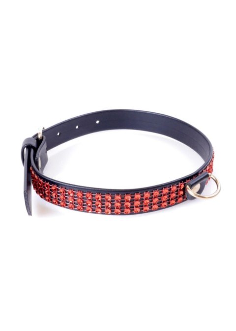 Fetish B - Series Collar with crystals 2 cm Red Line Fetish B - Series Fetish B - Series Collar with crystals 2 cm Red Line Fetish B - Series