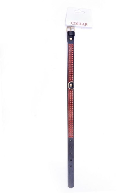 Fetish B - Series Collar with crystals 2 cm Red Line Fetish B - Series Fetish B - Series Collar with crystals 2 cm Red Line Fetish B - Series