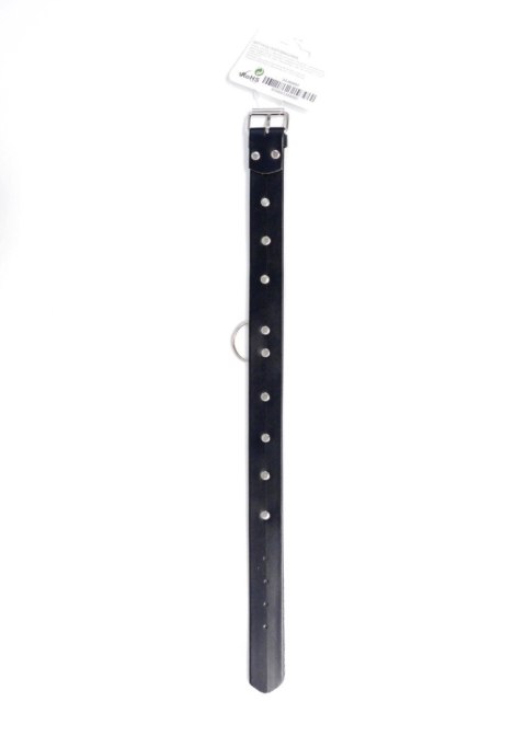 Fetish B - Series Collar with studs 3 cm Fetish B - Series Fetish B - Series Collar with studs 3 cm Fetish B - Series