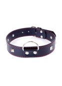 Fetish B - Series Collar with studs 3 cm Red Line Fetish B - Series Fetish B - Series Collar with studs 3 cm Red Line Fetish B - Series