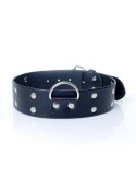 Fetish B - Series Collar with studs 4 cm Fetish B - Series Fetish B - Series Collar with studs 4 cm Fetish B - Series