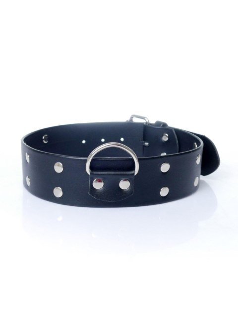 Fetish B - Series Collar with studs 4 cm Fetish B - Series Fetish B - Series Collar with studs 4 cm Fetish B - Series
