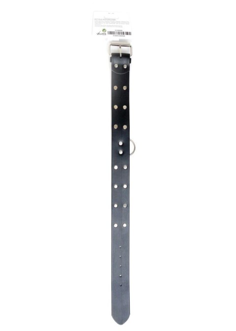 Fetish B - Series Collar with studs 4 cm Fetish B - Series Fetish B - Series Collar with studs 4 cm Fetish B - Series