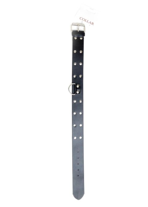 Fetish B - Series Collar with studs 4 cm Fetish B - Series Fetish B - Series Collar with studs 4 cm Fetish B - Series