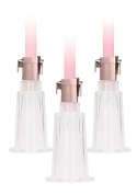 Clitoral & Nipple Pump Set Medium - Rose Gold Pumped Clitoral & Nipple Pump Set Medium - Rose Gold Pumped