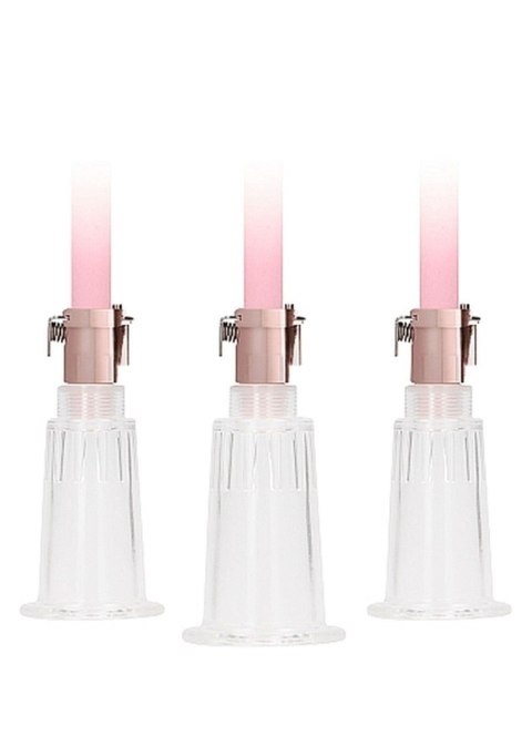 Clitoral & Nipple Pump Set Medium - Rose Gold Pumped Clitoral & Nipple Pump Set Medium - Rose Gold Pumped