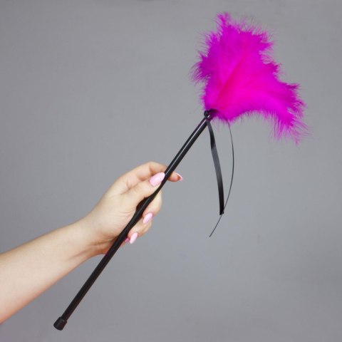 Plumero Plumas Fucsia Secret Play Plumero Plumas Fucsia Secret Play