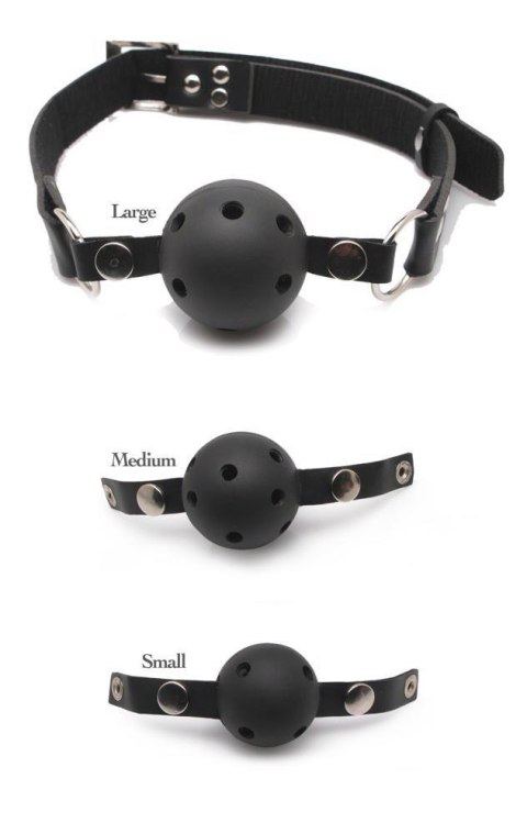 FFS Ball Gag Training System Fetish Fantasy Series FFS Ball Gag Training System Fetish Fantasy Series