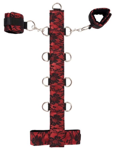 Bad Kitty Collar Bad Kitty Bad Kitty Collar Bad Kitty