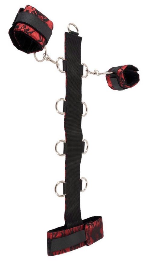 Bad Kitty Collar Bad Kitty Bad Kitty Collar Bad Kitty