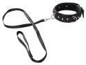 Collar vegan Vegan Fetish Collar vegan Vegan Fetish