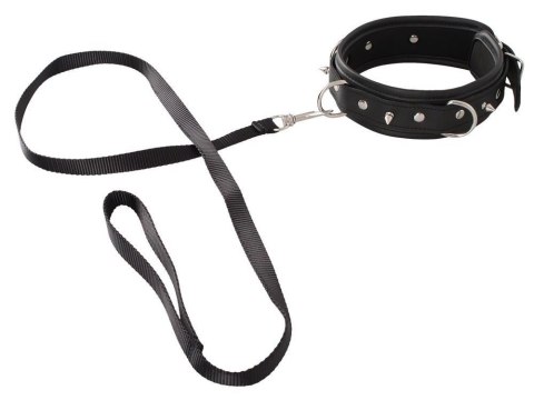 Collar vegan Vegan Fetish Collar vegan Vegan Fetish