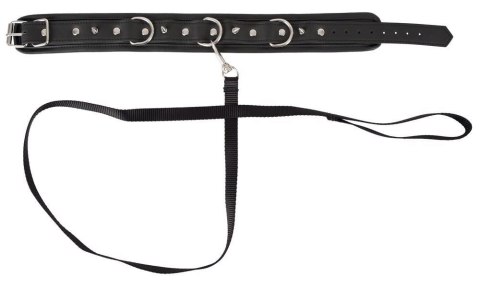 Collar vegan Vegan Fetish Collar vegan Vegan Fetish