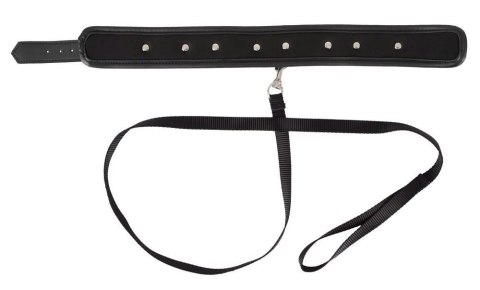 Collar vegan Vegan Fetish Collar vegan Vegan Fetish