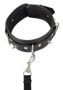 Collar vegan Vegan Fetish Collar vegan Vegan Fetish