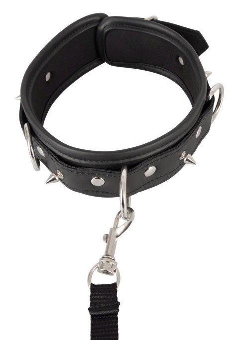Collar vegan Vegan Fetish Collar vegan Vegan Fetish